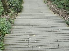 -缙云山景区