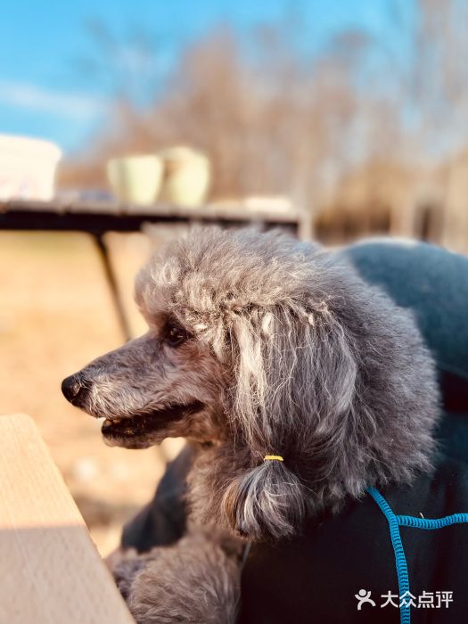 妫河森林公园图片