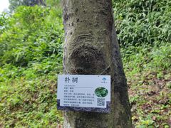 -广州市白云山风景名胜区