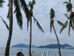 -日落吧·海景咖啡厅·餐酒吧·鸡尾酒·下午茶·乐队表演·浪漫夕阳·三亚文华东方酒店