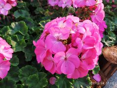 -文华公园(禅城区)