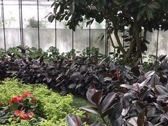 -上海鲜花港