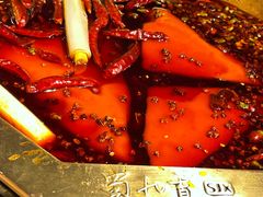 -蜀九香火锅(玉林店)
