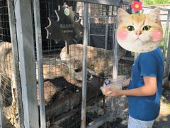 -意大利农场度假村