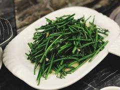 野菜-美极鲜食坊(宝安南路店)