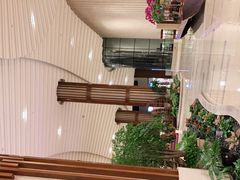 -海棠湾洲际-涛·海底餐厅·美人鱼·自助餐·海底隧道
