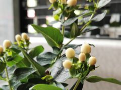 -咖啡·湖(德清店)