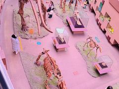 -陕西自然博物馆