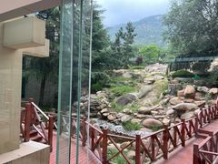 -泰安东尊华美达广场酒店(泰山景区店)