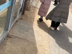 -盐城丹顶鹤湿地生态旅游区
