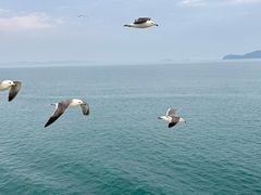 -仁川港国际客运码头