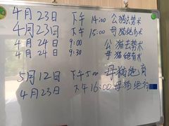 -佳怡动物医院·平价24小时·猫专科骨外科