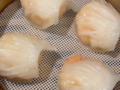 -皇朝尊会(龙之梦大酒店)