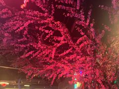 -路边边.炒菜烧烤.音乐餐厅(良乡长虹店)