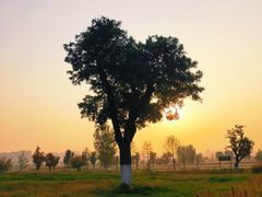 -汉长安城未央宫国家考古遗址公园