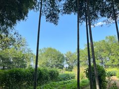 -西溪南古村落景区