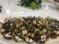-鹭岛新泉客家菜·海鲜·融合菜(莲前店)