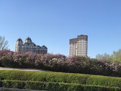 -群力丁香公园