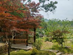 -塔川景区