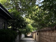 -莫催咖啡