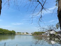 -同里国家湿地公园