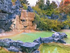 -吴淞炮台湾湿地森林公园烧烤区