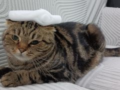 -新新潘晓婷台球俱乐部(周浦店)