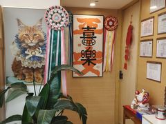 -猫十亿·布偶金渐层·曼基康矮脚猫舍(青年路店)