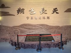 -宁夏博物馆