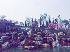 -秀丽东方