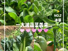 -万源龙顺度假庄园生态观光园