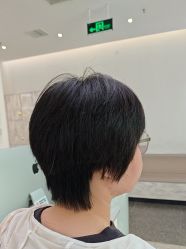 -YESIDO椰岛造型