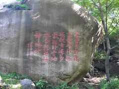DSC_0315-云岫谷自然风景区