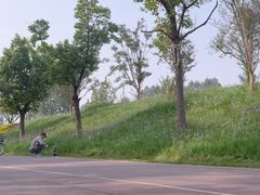 -东莞植物园