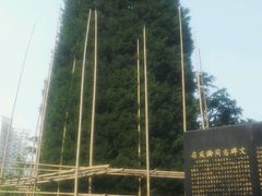 -宋庆龄陵园