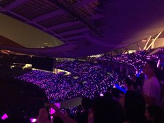 -南京奥林匹克体育中心-体育馆