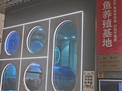 -鱼酷活鱼烤鱼(江宁金鹰店)