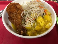 咖喱牛肉加鸡腿-北京大学-学五食堂