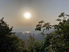 -南山植物园