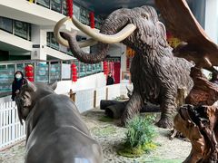 -中国第四纪冰川遗迹陈列馆
