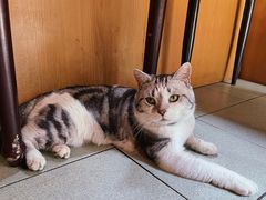 -华春餐馆(鱼山路店)