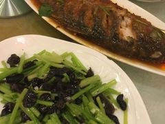 -东阿阿胶文化酒店