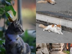 -李叔同故居纪念馆