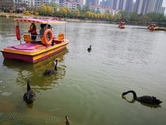 -南翠屏公园