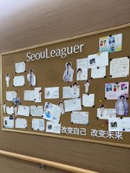 -上海首尔丽格医疗美容医院