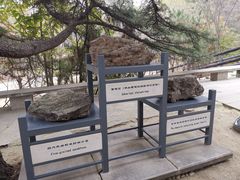 -周口店北京人遗址公园