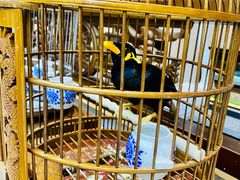 -蘭奢雅集·江浙菜(青山江滩店)