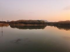 -昆山城市生态森林公园