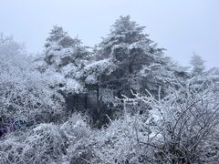 -峨眉山风景名胜区