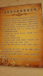 -寇氏减肥